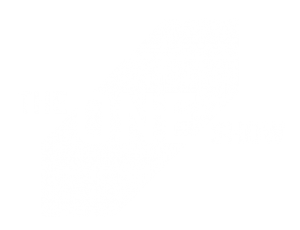The One Show